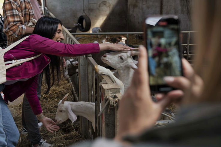 Tourist recording video of her friend with a goat